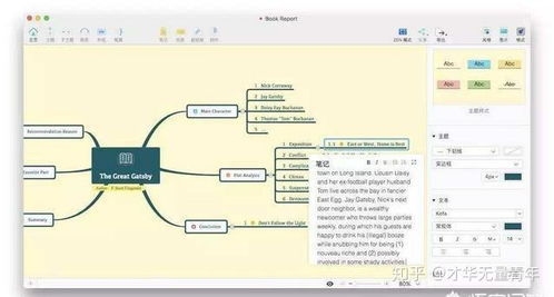 電腦上好用的思維導(dǎo)圖軟件推薦與選擇指南